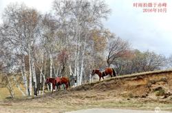 赤峰染發(fā)劑凝珠價格