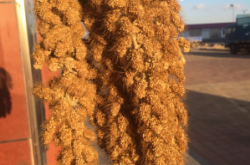 赤峰海達(dá)廣場小米店電話號(hào)碼