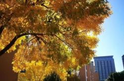 赤峰悍馬籃球培訓(xùn)學(xué)校電話號碼