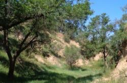 赤峰南山生態(tài)果園地址電話(huà)號(hào)碼