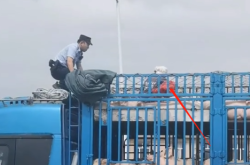 赤峰收拾豬頭電話號碼是多少