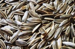 赤峰劉龍瓜子店地址電話(huà)號(hào)碼