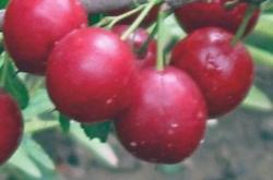 赤峰王金寶診所電話號(hào)碼多少