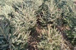 赤峰云杉折扣店電話地址查詢