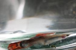 赤峰附近撈魚(yú)玩具店電話號(hào)碼