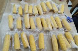 赤峰凍玉米批發(fā)廠家電話號(hào)碼