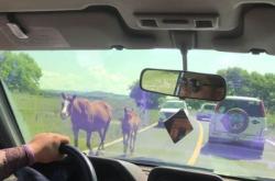 赤峰吉普維修點(diǎn)地址電話號(hào)碼