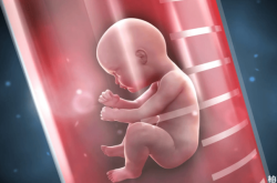 赤峰第四醫(yī)院張小鳳電話號(hào)碼