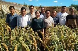 赤峰民兵招募網(wǎng)官網(wǎng)電話號(hào)碼