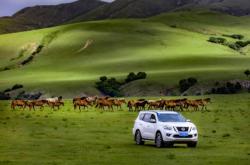 赤峰尼桑4s客服電話號碼