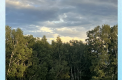 赤峰三胖烤肉店電話號碼