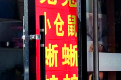 赤峰花鳥魚蟲魚市場電話號碼