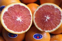 赤峰水果配送上門電話號(hào)碼