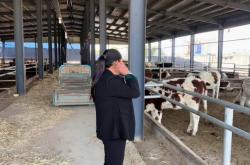 赤峰養(yǎng)?；匦∨Ｅl(fā)電話號碼