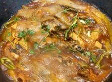 赤峰買魚寵物的地方電話號碼