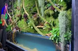 赤峰水岸天街花店電話號(hào)碼