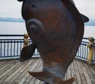 赤峰胖頭魚攝影店電話號碼