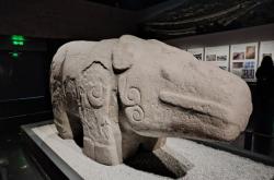 赤峰大犀牛衛(wèi)生院電話號碼