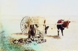 赤峰收牛糞聯(lián)系電話查詢號(hào)碼