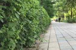 赤峰北山公園電話號碼查詢是多少