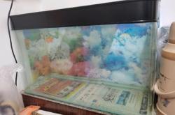 赤峰魚缸回收電話號碼多少號