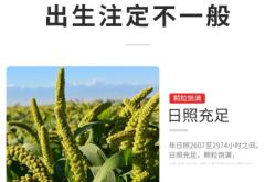 赤峰鳥糧谷子批發(fā)電話號碼