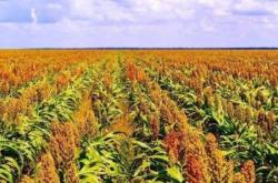 赤峰市敖漢旗中國黃金店電話號(hào)碼