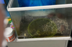 赤峰嵌入式魚缸維修電話號碼