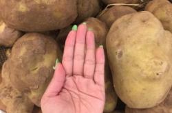 嘉禾小館赤峰店電話地址是多少