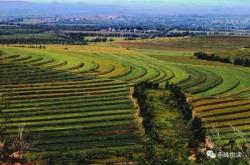 赤峰敖漢美容院電話號碼