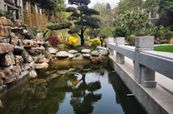 千層石假山制作 小型