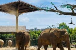 赤峰萬悅動(dòng)物園電話號碼