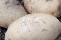 赤峰西城果蔬直銷(xiāo)處電話(huà)號(hào)碼