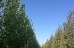 赤峰市紅山區(qū)收廢品電話