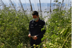 赤峰市禁毒電話號碼是多少