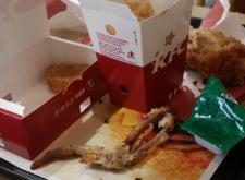 赤峰肯德基金店電話多少號