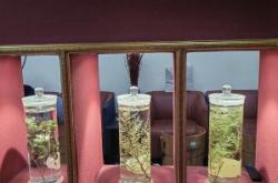 赤峰藏浴養(yǎng)生館電話地址查詢