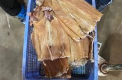 赤峰魷魚干批發(fā)電話地址查詢