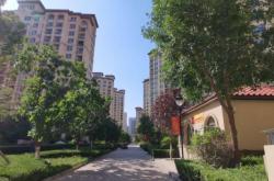 赤峰紅山區(qū)新區(qū)社區(qū)電話號碼