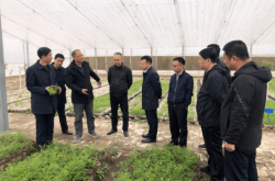 赤峰曹福記飯店地址電話號(hào)碼