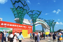 赤峰市企業(yè)直播公司電話號碼