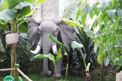 赤峰禾潤農(nóng)業(yè)嘉年華電話號碼