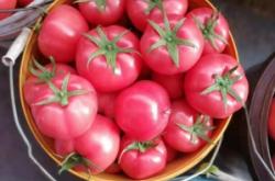 赤峰桃汁批發(fā)電話地址查詢