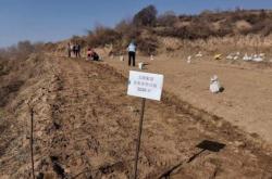 赤峰富肥飼料廠電話地址查詢