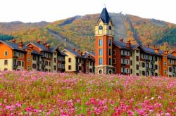 赤峰市喀喇沁旗審車電話號(hào)碼