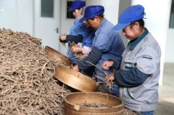 赤峰牛營(yíng)子收購(gòu)藥材電話