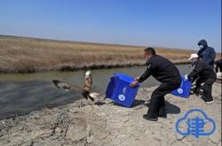 赤峰候鳥過境政策查詢電話號碼