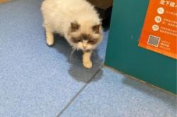 赤峰貝佳寵物醫(yī)院電話地址查詢