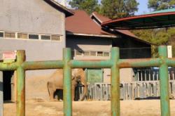 赤峰紅山區(qū)大姐遛彎電話號碼