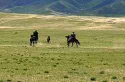 赤峰阿偉美發(fā)電話號碼查詢